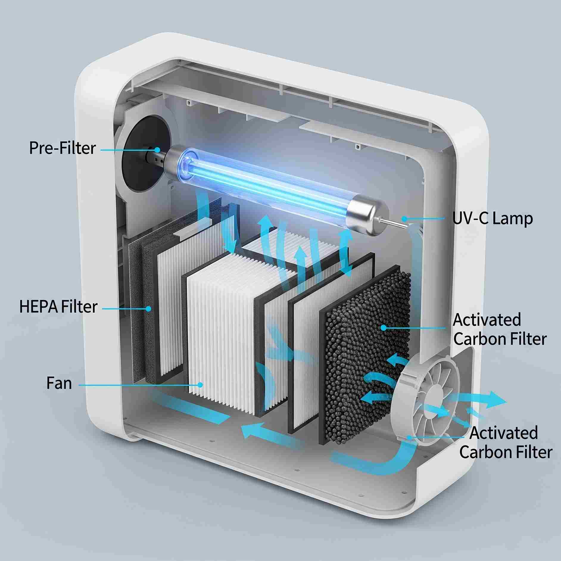 UV-C lamp inside purifier cavity